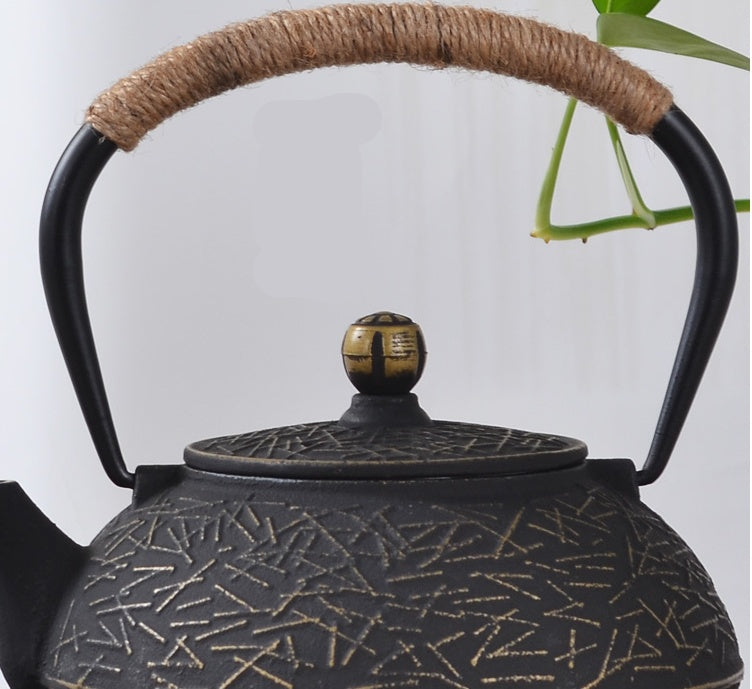 Japanese cast iron pot